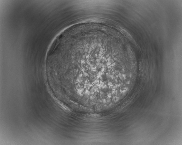 X0000074030784200609181925