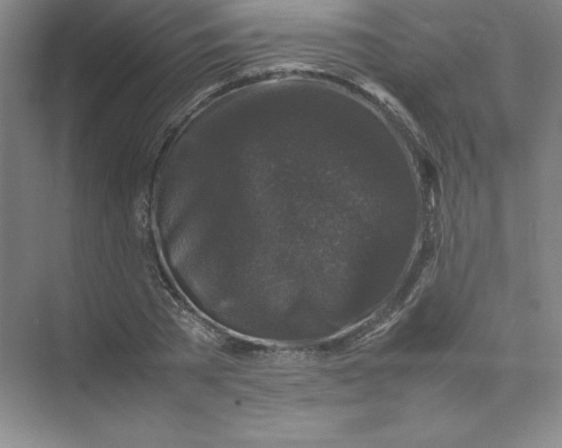 X0000074030785200609181925