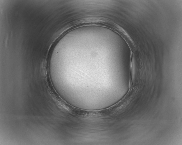 X0000074030786200609181925