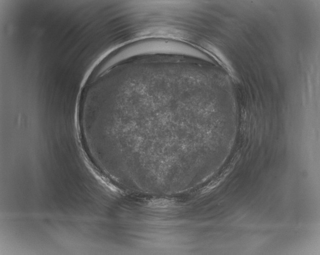 X0000074030788200609181925