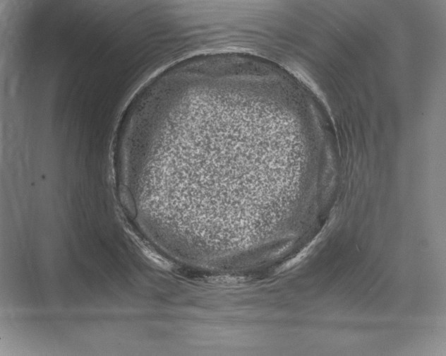 X0000074030789200609181925