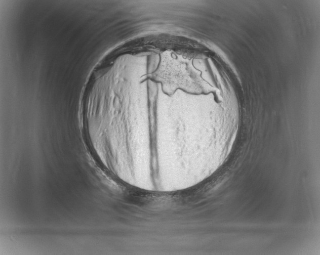 X0000074030791200609181925