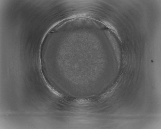 X0000074030792200609181925