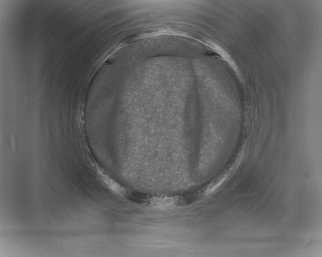 X0000074030793200609181925