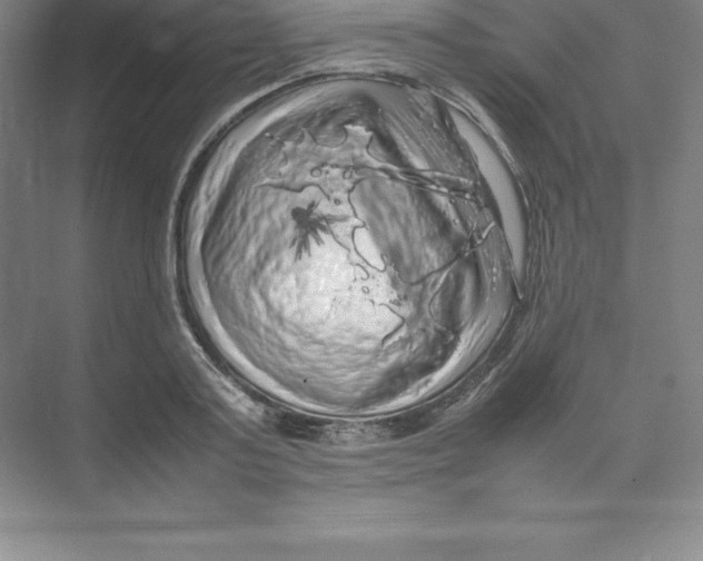 X0000074030795200609181925