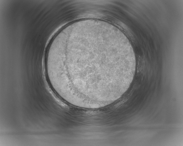 X0000074030796200609181925