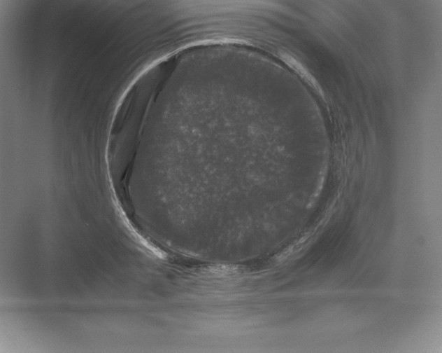 X0000074030797200609181925