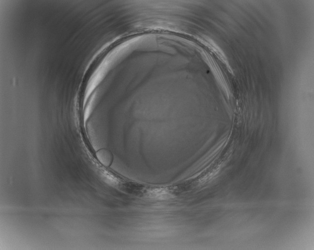 X0000074030798200609181925