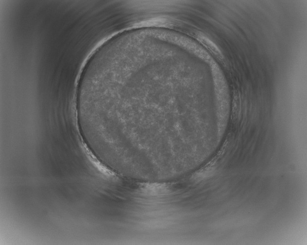 X0000074030800200609181925