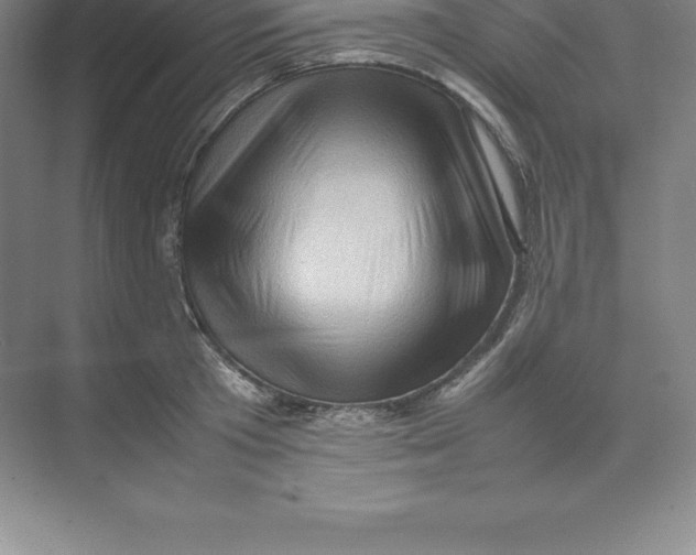 X0000074030801200609181925