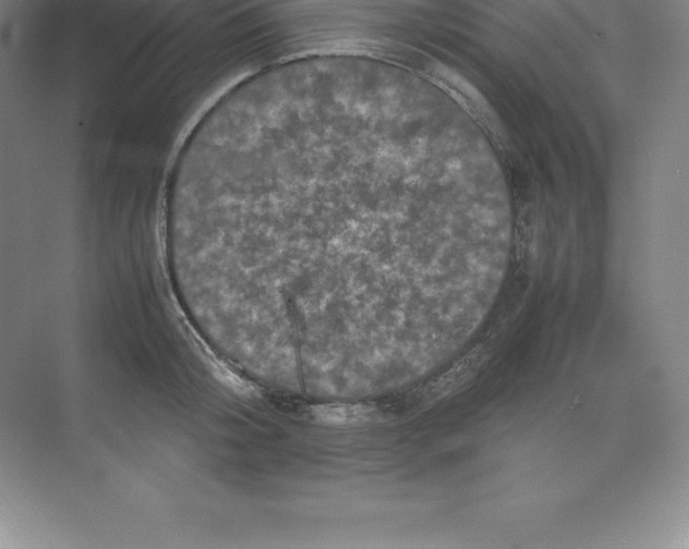 X0000074030804200609181925