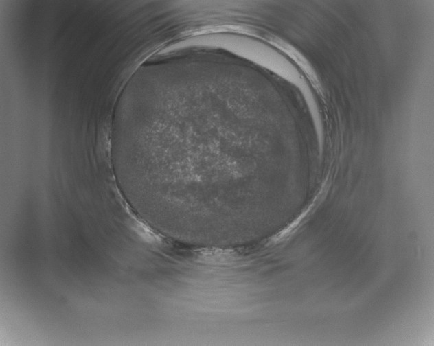 X0000074030809200609181925