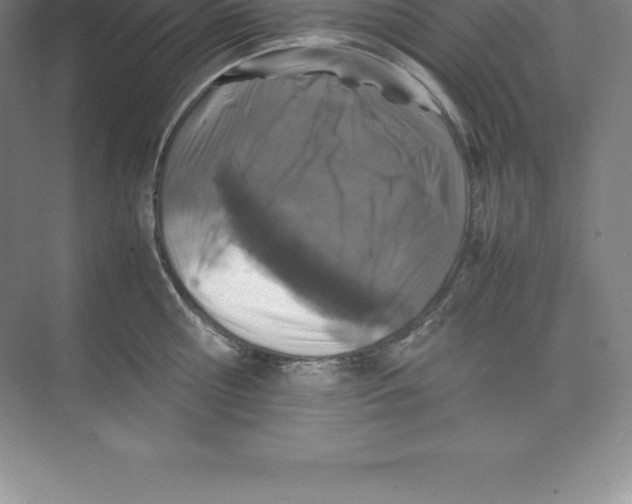 X0000074030810200609181925