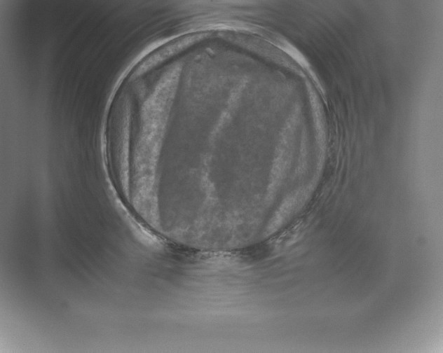 X0000074030811200609181925