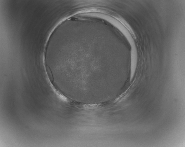 X0000074030813200609181925