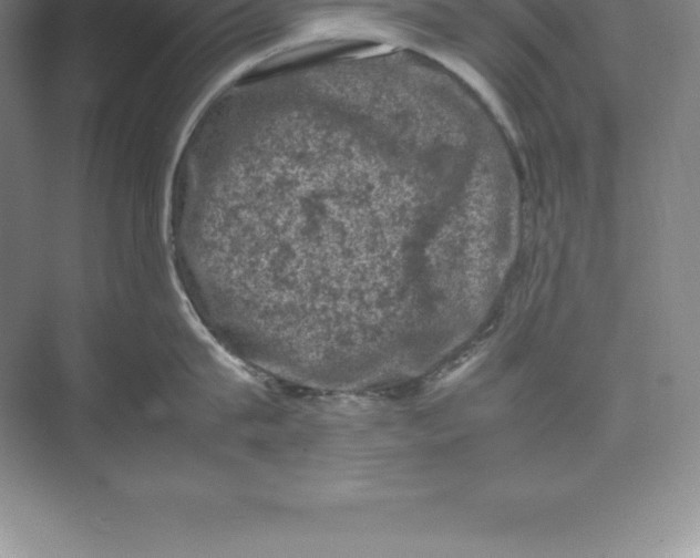 X0000074030815200609181925