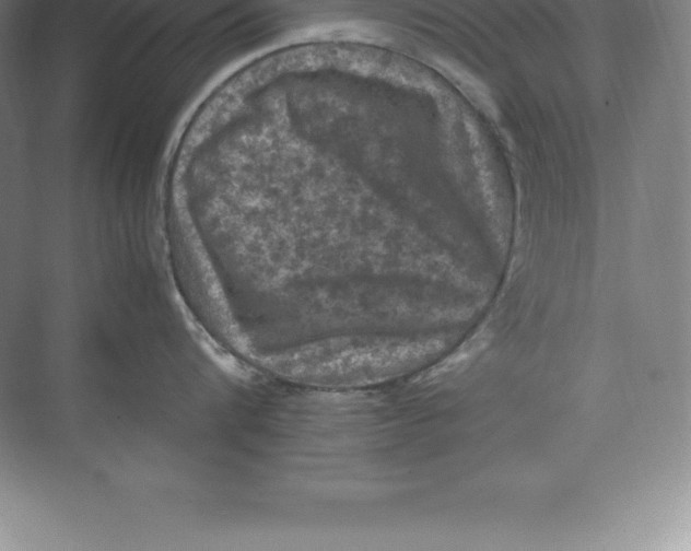 X0000074030816200609181925