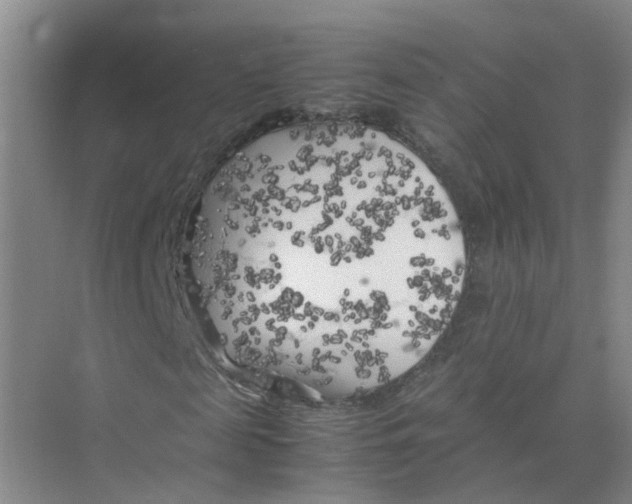 X0000074030817200609181924