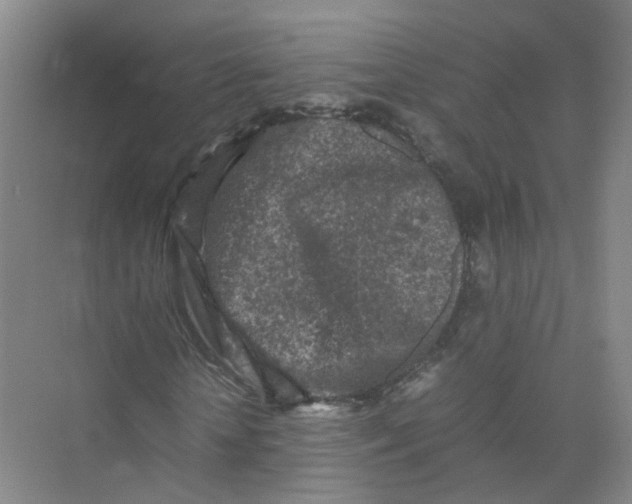 X0000074030818200609181924