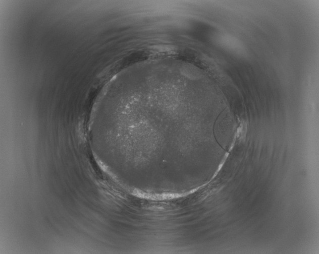 X0000074030819200609181924