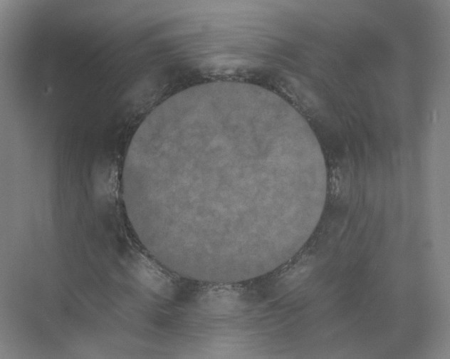 X0000074030820200609181924