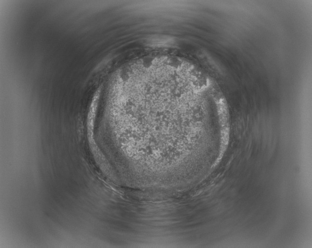 X0000074030821200609181924