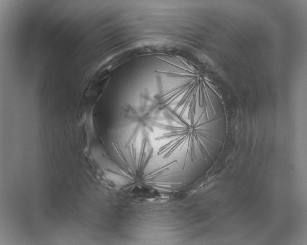 X0000074030822200609181924