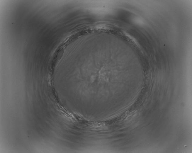 X0000074030823200609181924