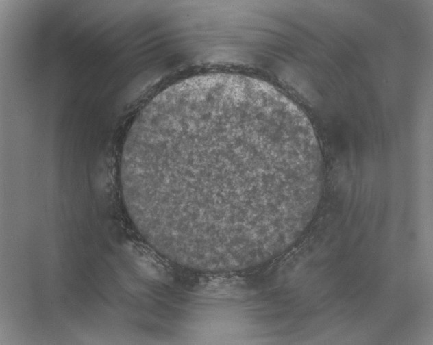 X0000074030824200609181924