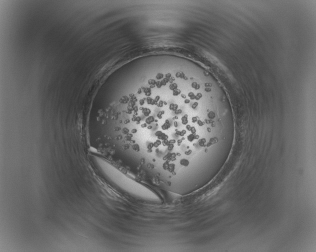 X0000074030825200609181924