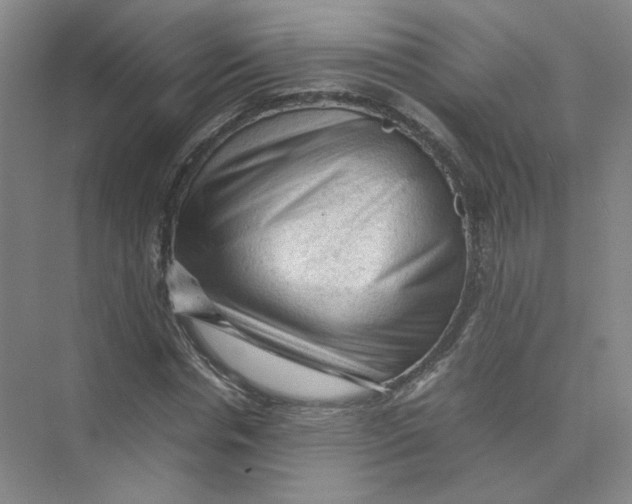 X0000074030826200609181924