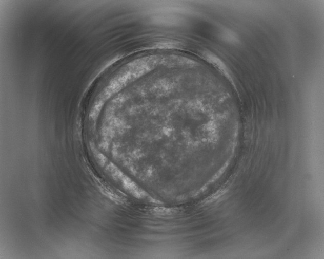 X0000074030827200609181924