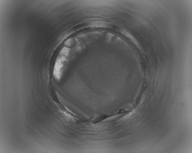 X0000074030829200609181924