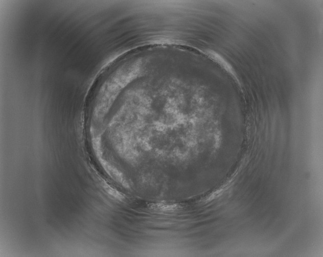 X0000074030831200609181924