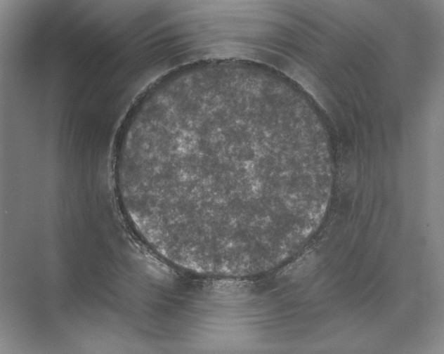 X0000074030832200609181924