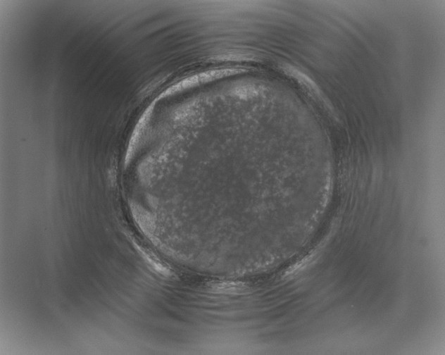 X0000074030833200609181924