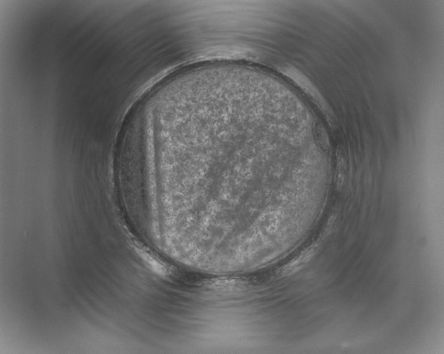 X0000074030834200609181924