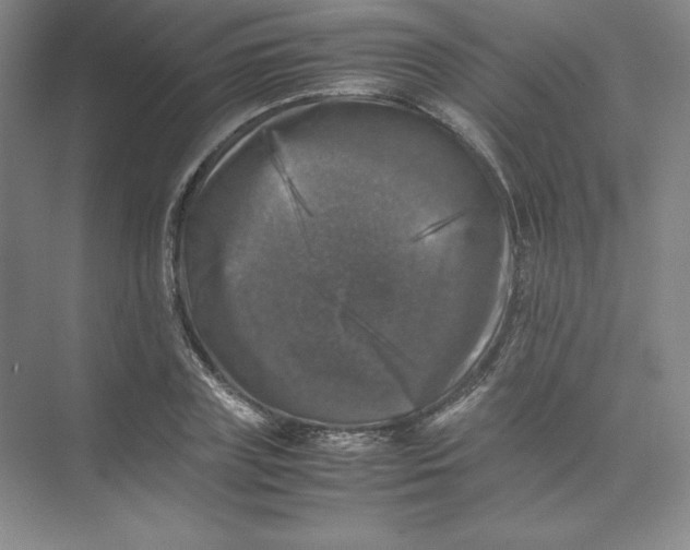 X0000074030835200609181924