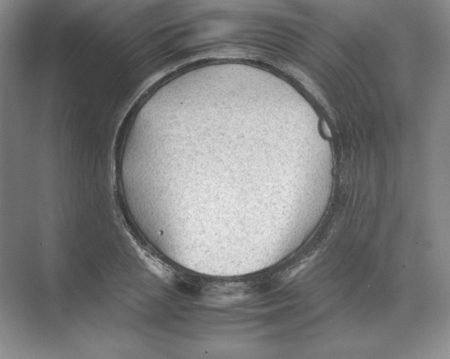 X0000074030837200609181924