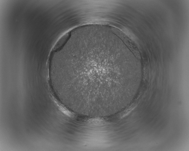 X0000074030838200609181924