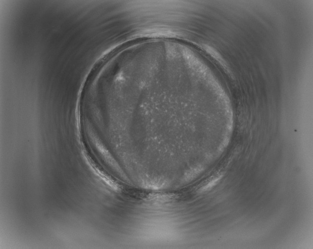 X0000074030840200609181924