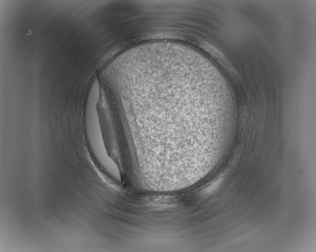 X0000074030841200609181924