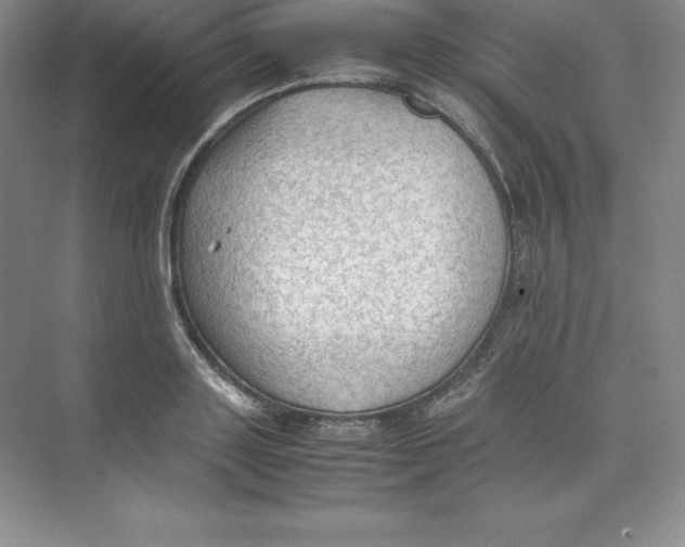 X0000074030843200609181924