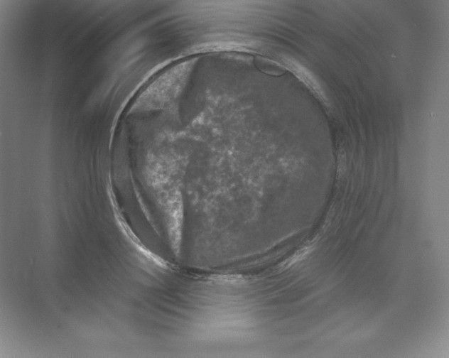 X0000074030844200609181924