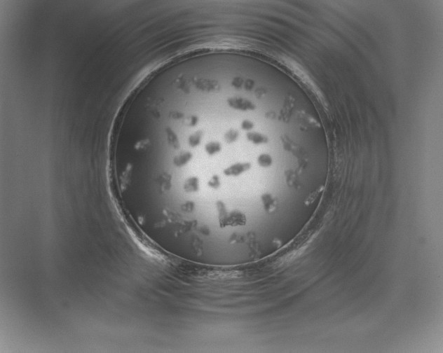 X0000074030845200609181925