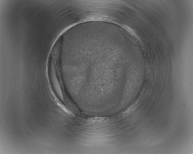 X0000074030846200609181925