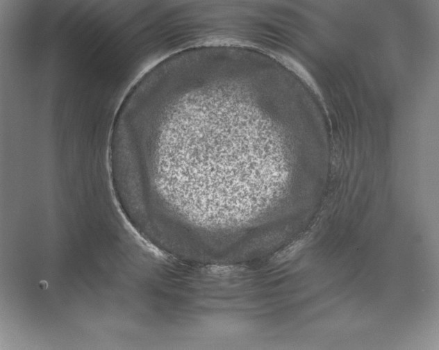 X0000074030847200609181925