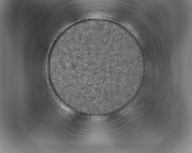 X0000074030848200609181925