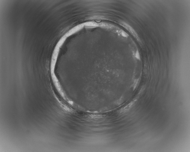 X0000074030849200609181925