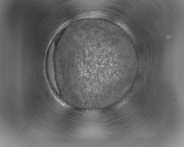 X0000074030850200609181925